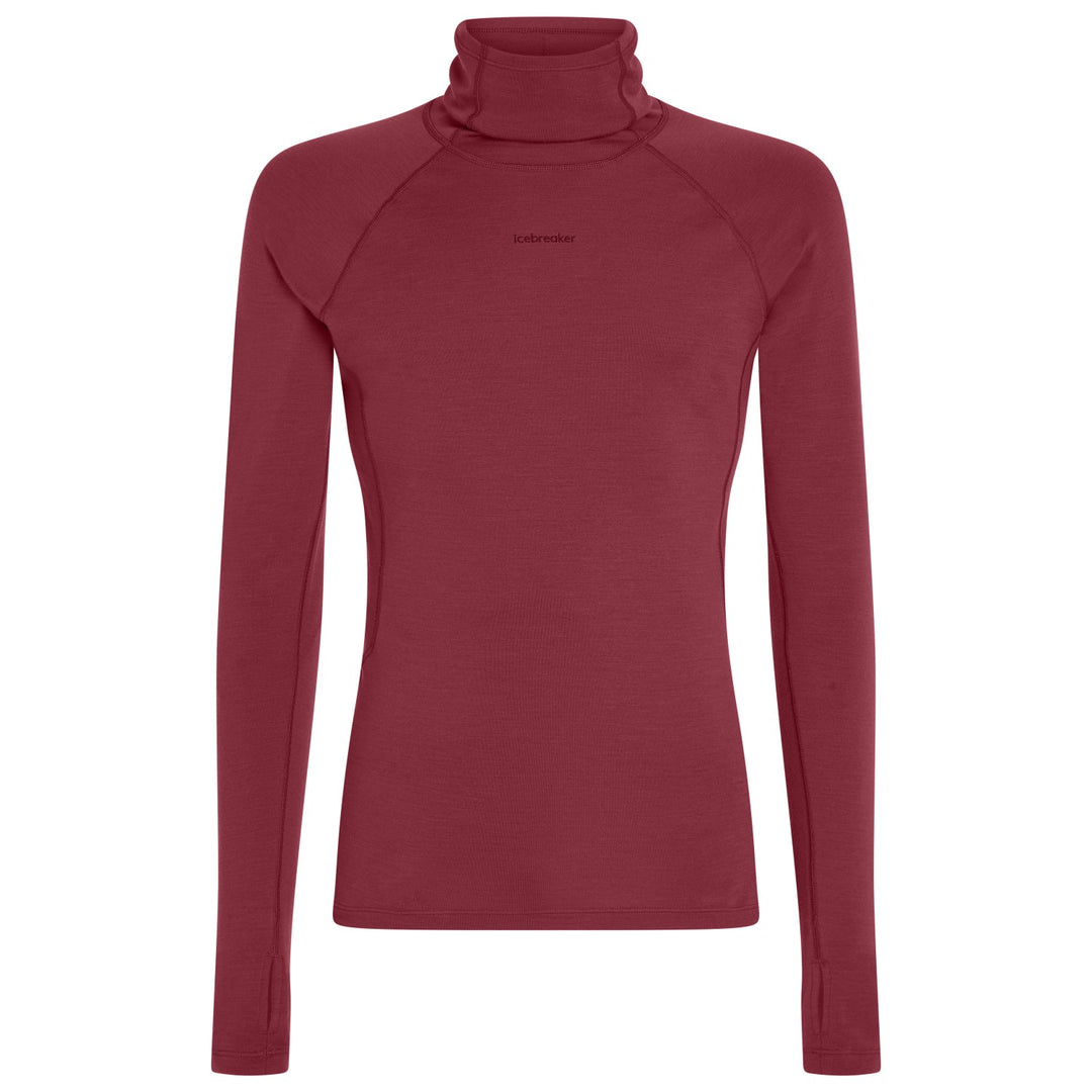 Chandail 300 MerinoFine Polar Long Sleeve Roll Neck Thermal Top - Homme