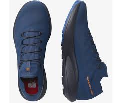 Pulsar Trail Pro Trail Shoes - Men's