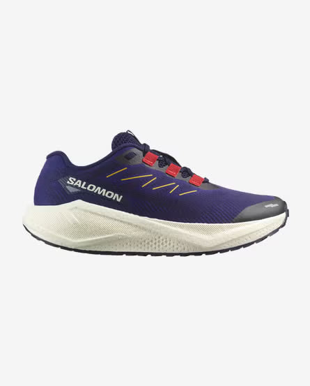 Chaussure Aero Blaze 3 GRVL – Homme