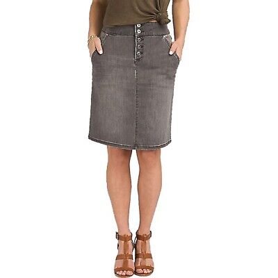 Aubrey Denim Skirt - Women