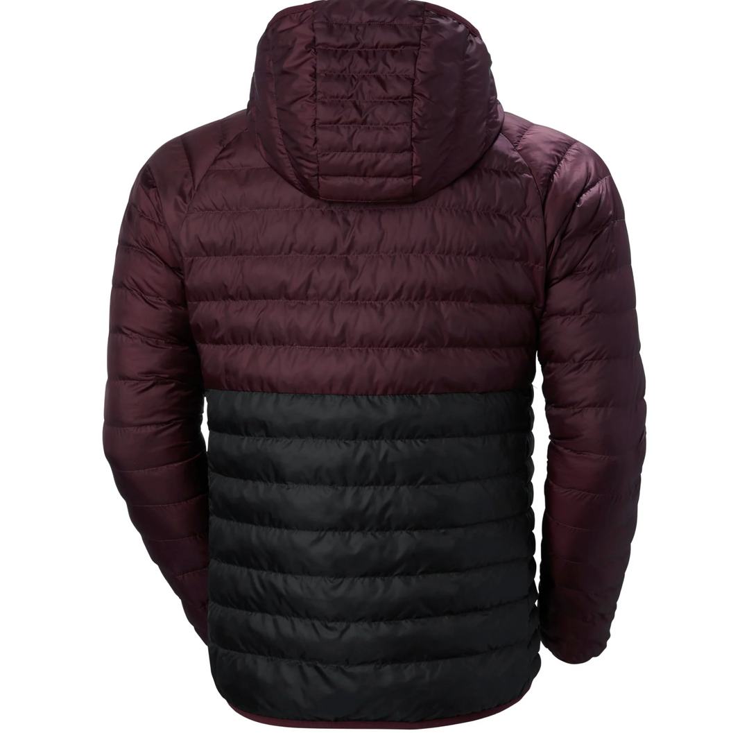 Manteau  Banff Hooded Insulator - Homme