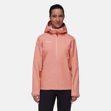 Mammut Eiswand Advanced ML Hooded Jacket - Women's