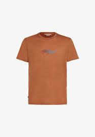 T-shirt Manches Courtes Merino 150 Tech Lite Slimey Salamander - Homme