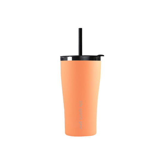 Bouteille isolée en acier inoxydable 530 ml / 19 oz