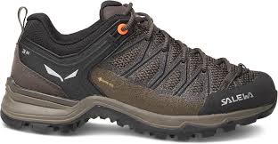 MTN Trainer Lite GTX Shoes - Women's