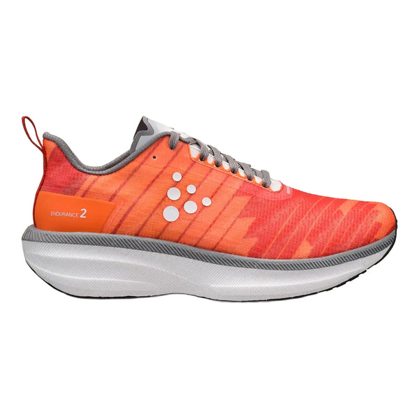 Souliers de course Endurance 2 - Homme