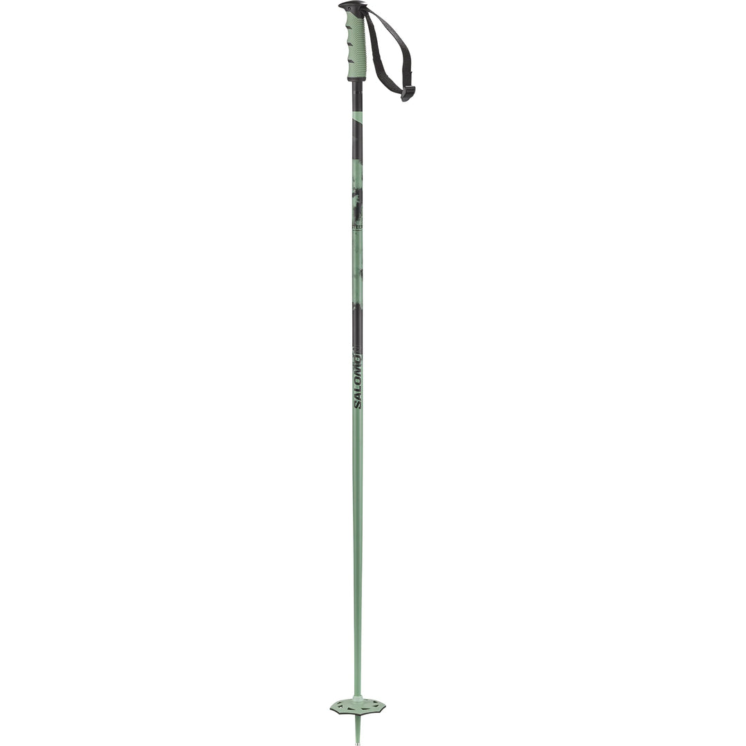 Steep Ski Poles
