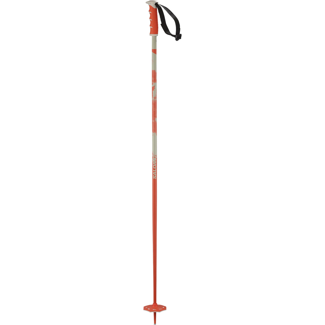 Steep Ski Poles