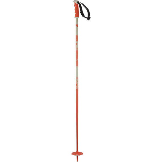 Steep Ski Poles