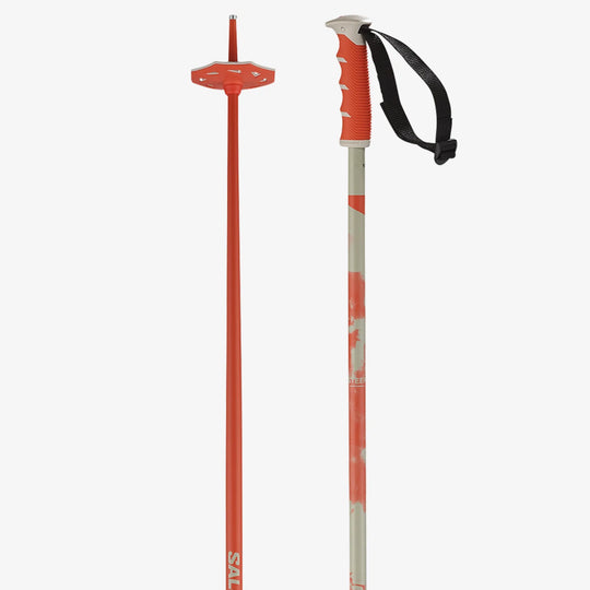 Steep Ski Poles