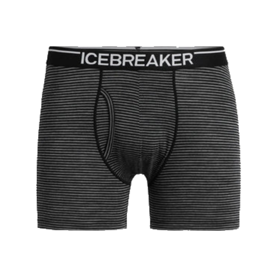 Boxers Anatomica FLY - Homme Icebreaker