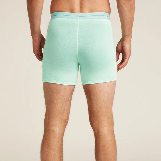 Anatomica wFly Men's Boxer Shorts